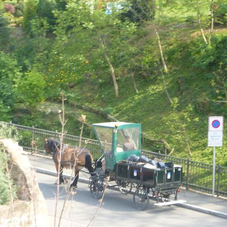 Victor Et Leontine Διαμέρισμα Ribeauvillé Εξωτερικό φωτογραφία